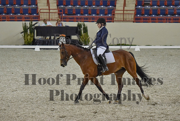 CWdressageI(8-20-16)0388