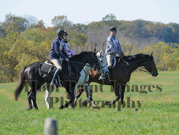 Cheshire(10-20-13)0170