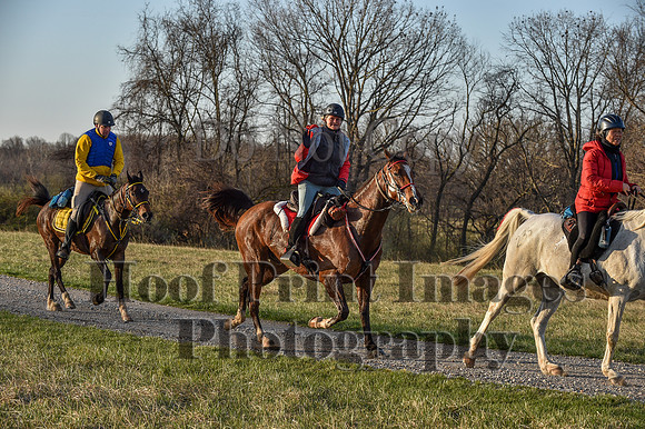 Foxcatcher(4-2-22)0029