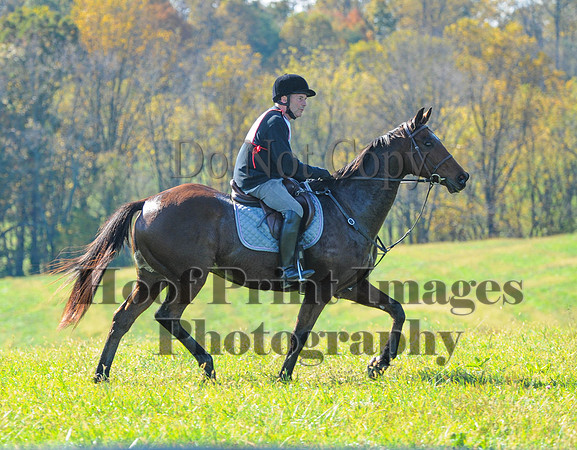 Cheshire(10-20-13)0717