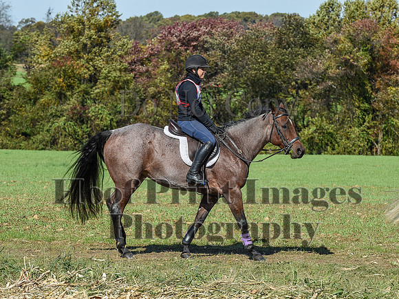 CheshirePC(10-18-20)0597