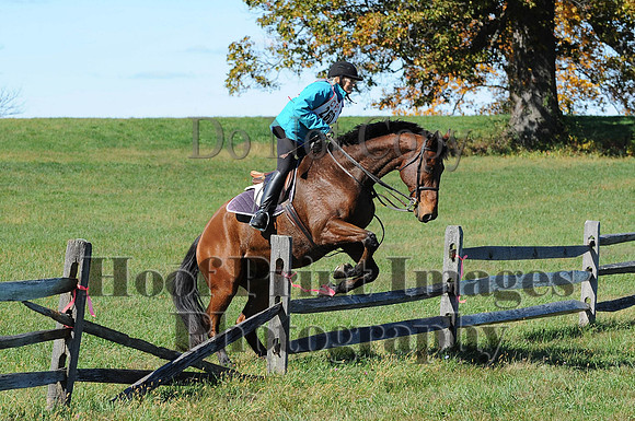 Cheshire(10-19-14)0104