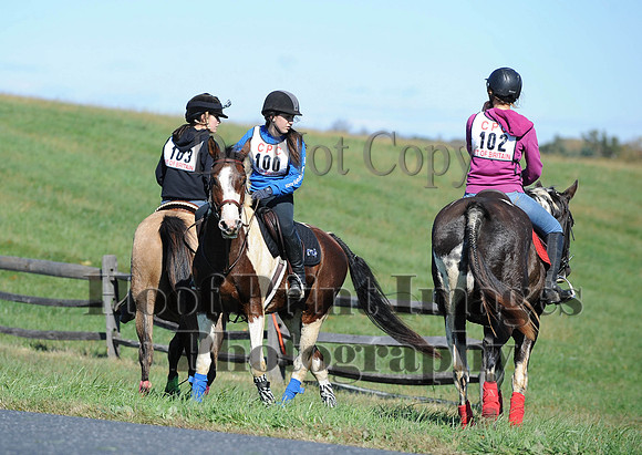 Cheshire(10-19-14)0056