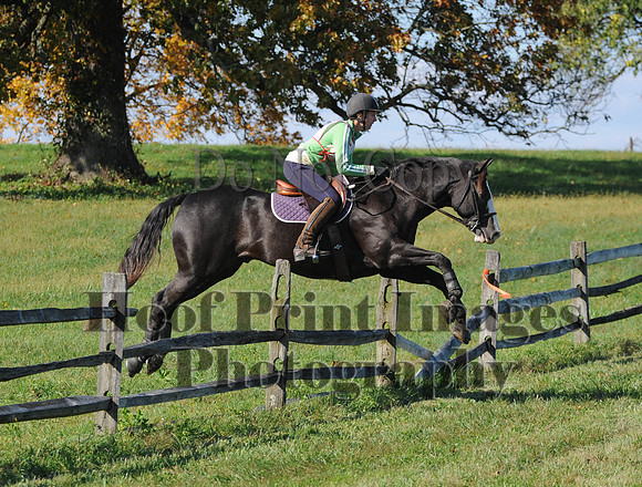 Cheshire(10-20-13)0727