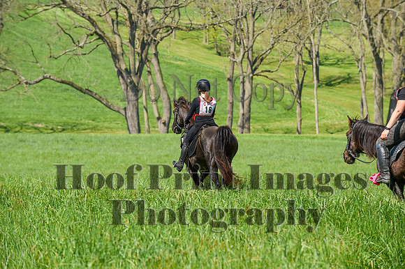 CheshireSpringPC1(4-28-24)0100