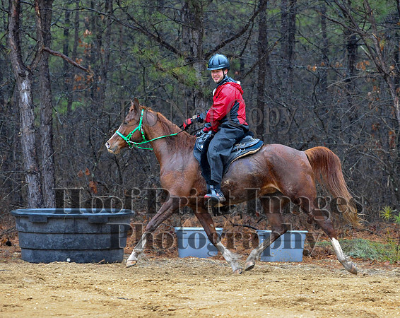 Rabbit(3-29-14)0291