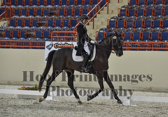 CWdressageI(8-20-16)1467