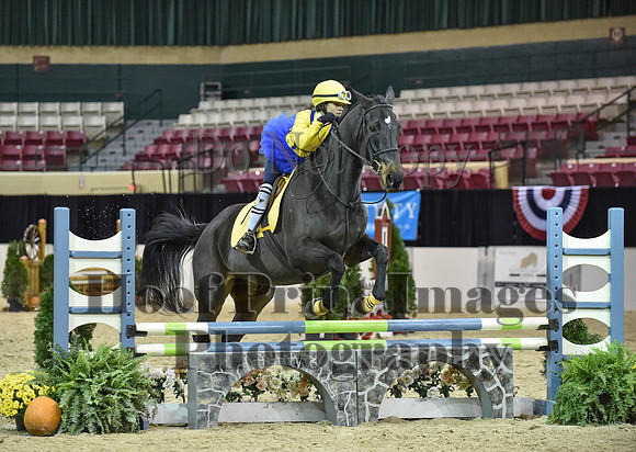 MidAtEqFest(11-14-15)1711