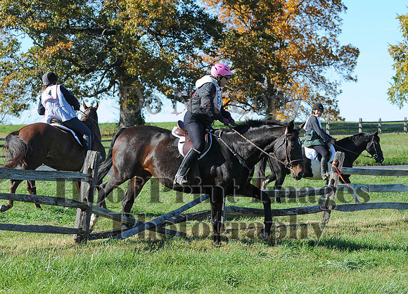 Cheshire(10-19-14)0441