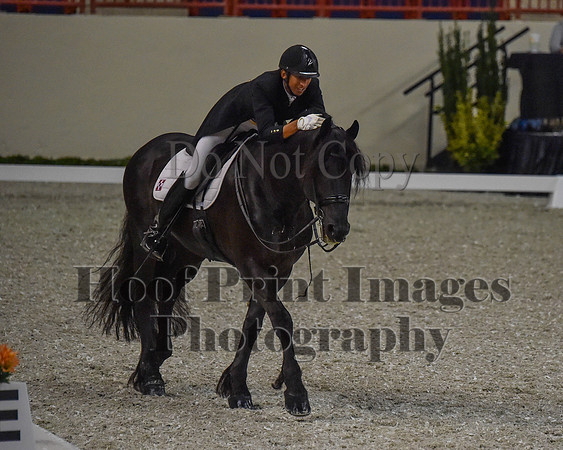 CWdressageII(8-21-16)0623