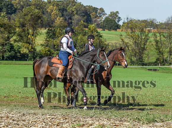 CheshirePC(10-18-20)0374
