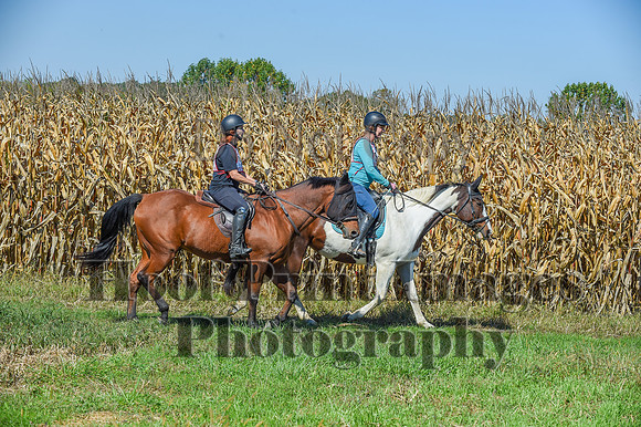 CheshirePonyClubPC(10-6-24)0611