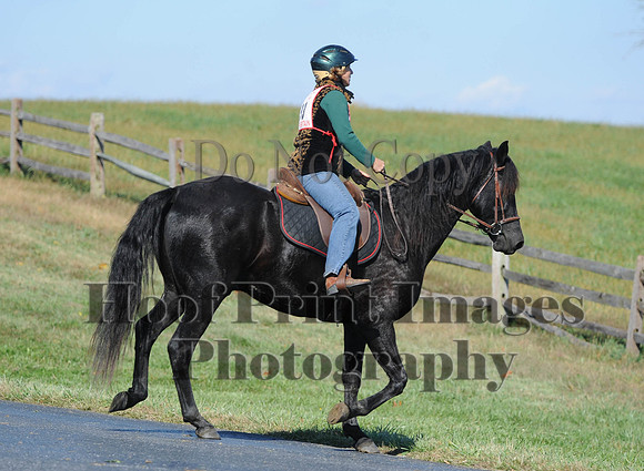 Cheshire(10-20-13)0368