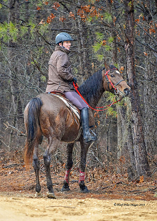 Rabbit(3-29-14)0255
