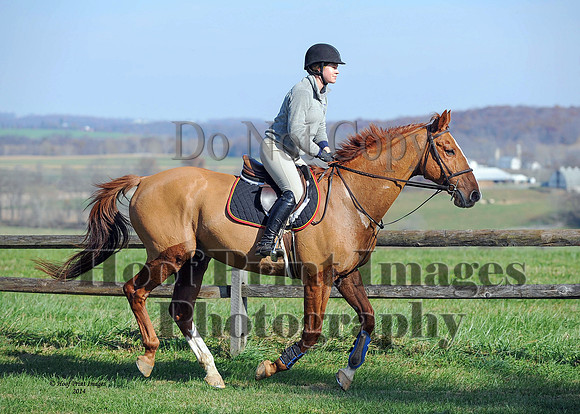 AndrewsBr(11-9-14)0027