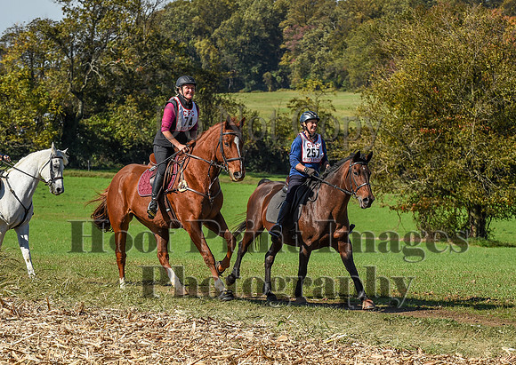 CheshirePC(10-18-20)0535