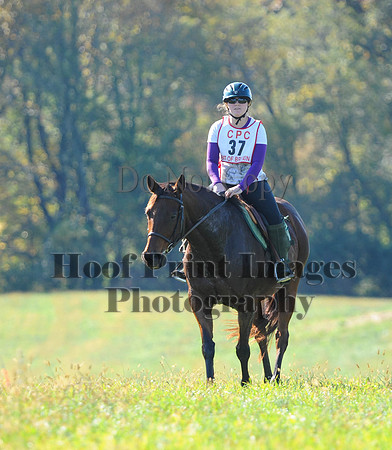 Cheshire(10-20-13)0566