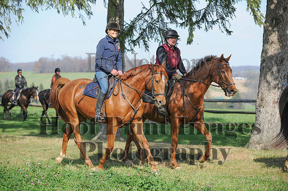AndrewsBr(11-9-14)0175