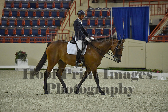 CWdressageI(8-20-16)0478