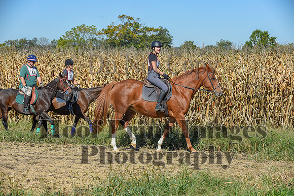 CheshirePonyClubPC(10-6-24)0180