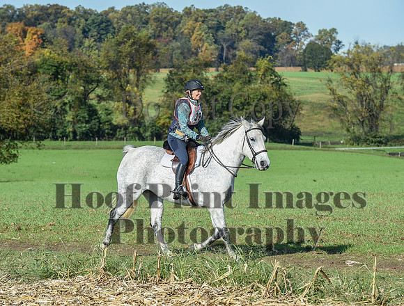 CheshirePC(10-18-20)0109