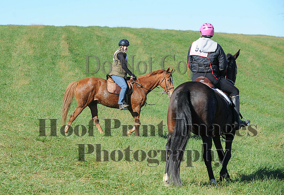 Cheshire(10-19-14)0442
