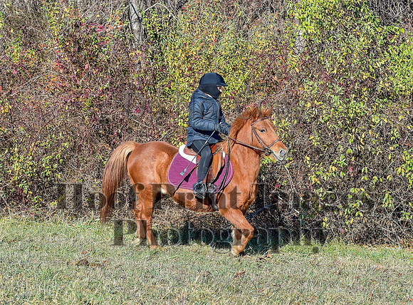 FairHillFallPC(11-30-24)0227