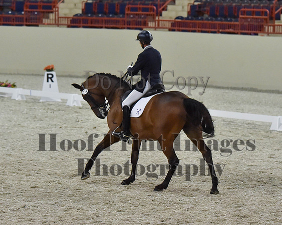 CWdressageII(8-21-16)2254
