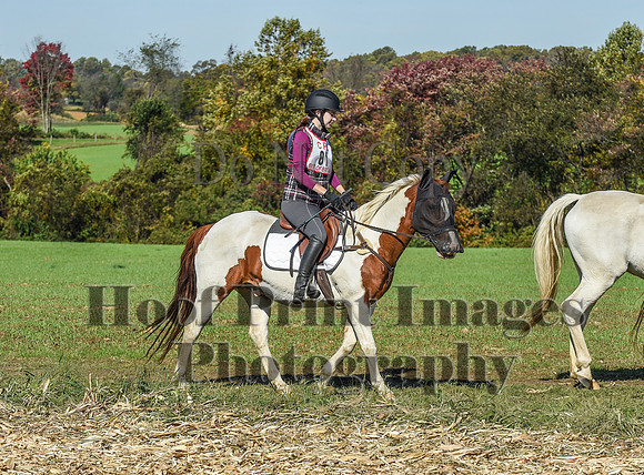 CheshirePC(10-18-20)0399