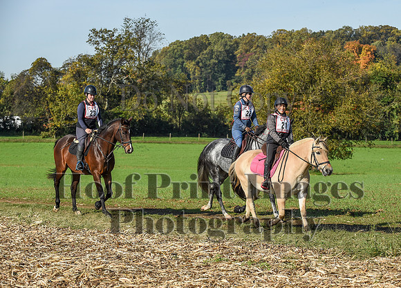 CheshirePC(10-18-20)0163