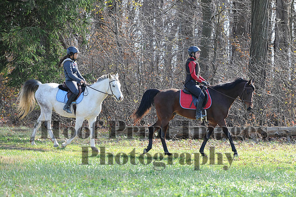 AndrewsBr(11-9-14)0129