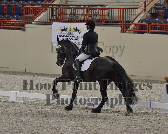 CWdressageII(8-21-16)1254