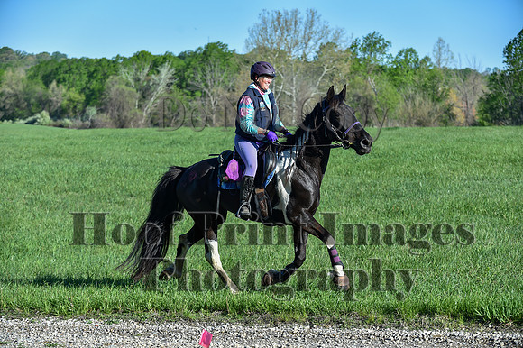 ChesapeakeSpring(4-27-25)0214