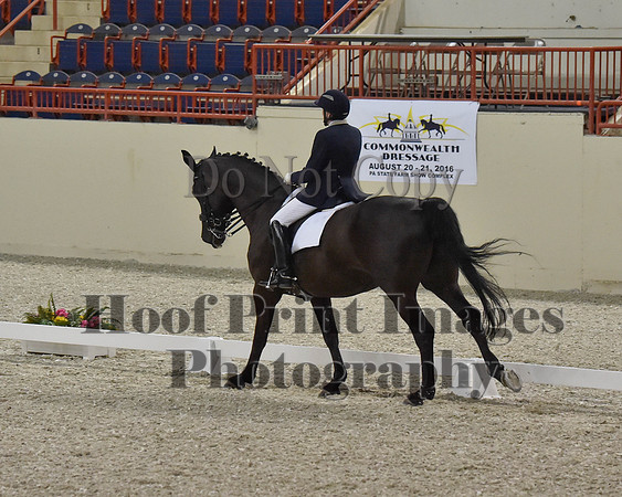 CWdressageII(8-21-16)0312