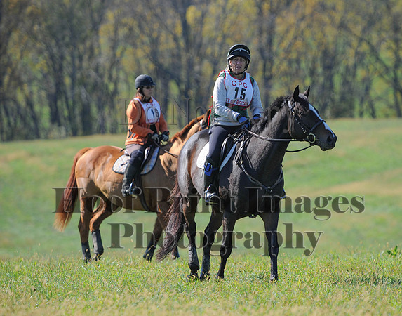 Cheshire(10-20-13)0436