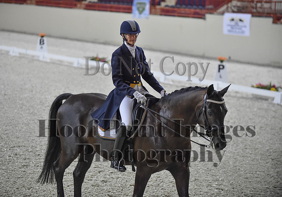 CWdressageI(8-20-16)1593