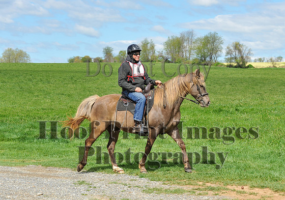 MrStewartsCheshirePC1(4-27-25)0102