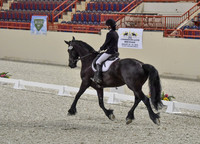 CWdressageI(8-20-16)0058
