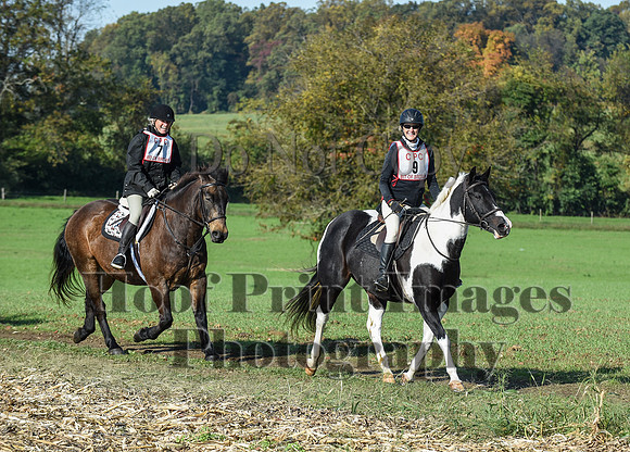 CheshirePC(10-18-20)0095