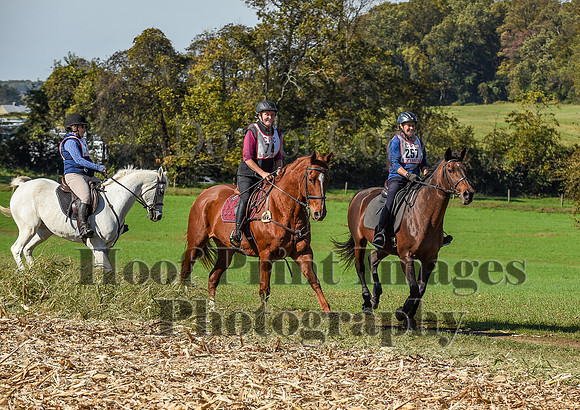 CheshirePC(10-18-20)0534