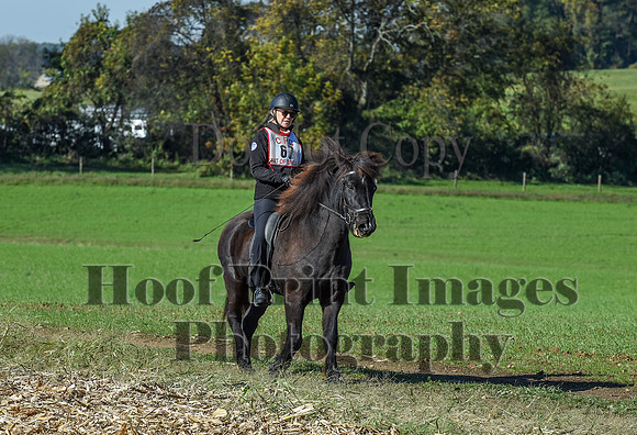 CheshirePC(10-18-20)0301