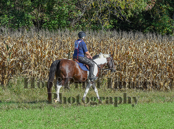 CheshirePonyClubPC(10-6-24)0108