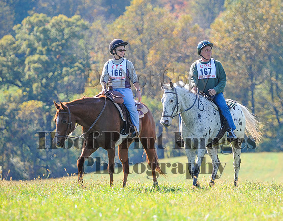 Cheshire(10-20-13)0531