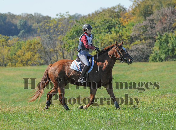 Cheshire(10-20-13)0267