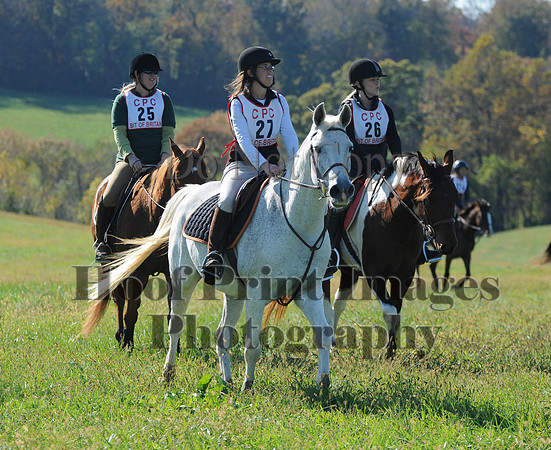 Cheshire(10-20-13)0513