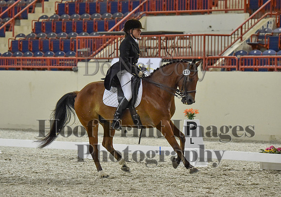 CWdressageI(8-20-16)1426