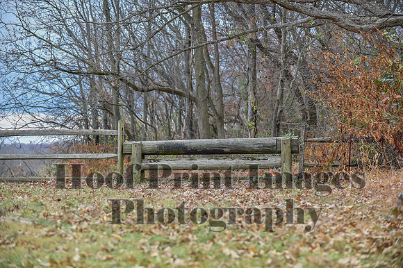 AndrewsBrHuntPace(11-10-24)0247