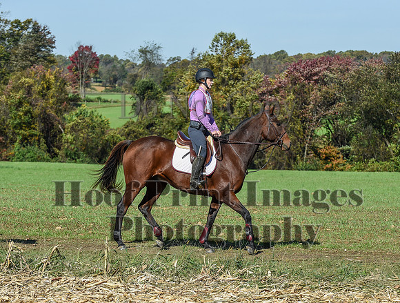CheshirePC(10-18-20)0465