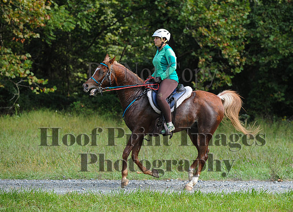 ChesapeakeCTR(9-20-14)0384