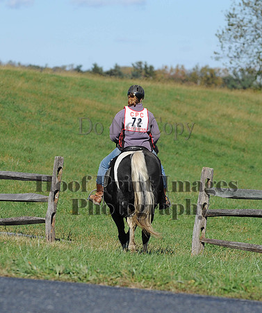 Cheshire(10-19-14)0275